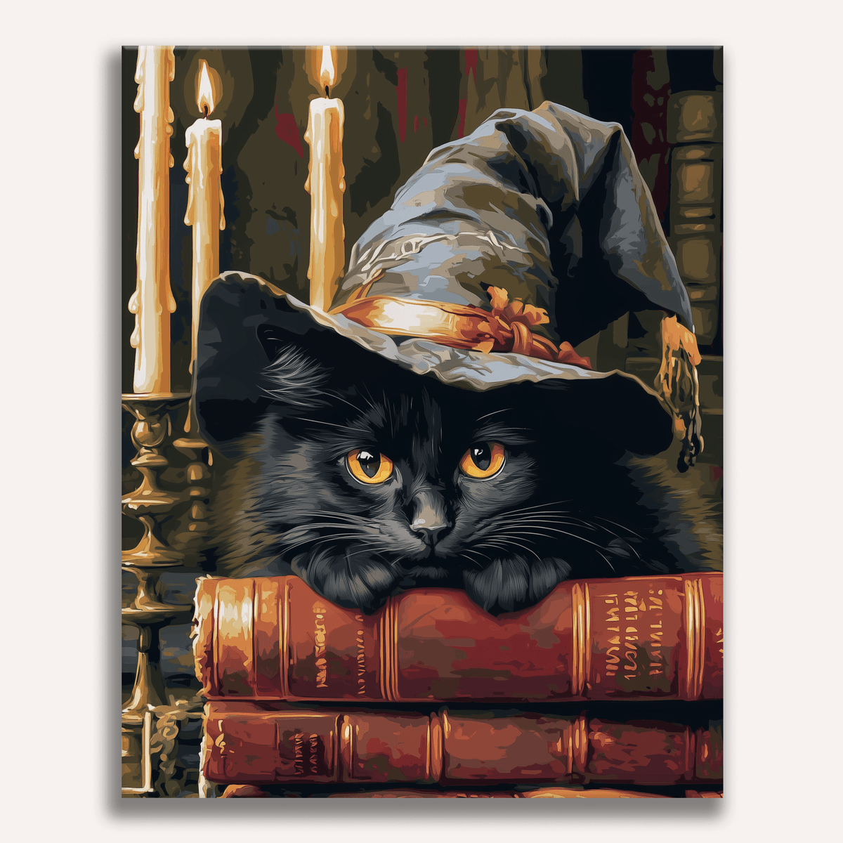 Purring Wizard - Number Artist Paint by Numbers Kits