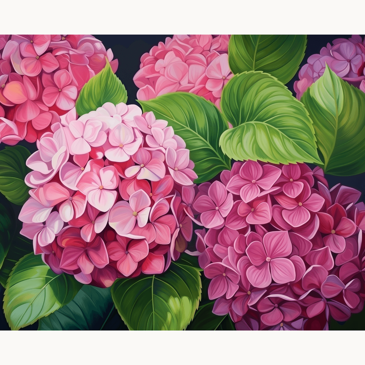 Pink Hydrangea