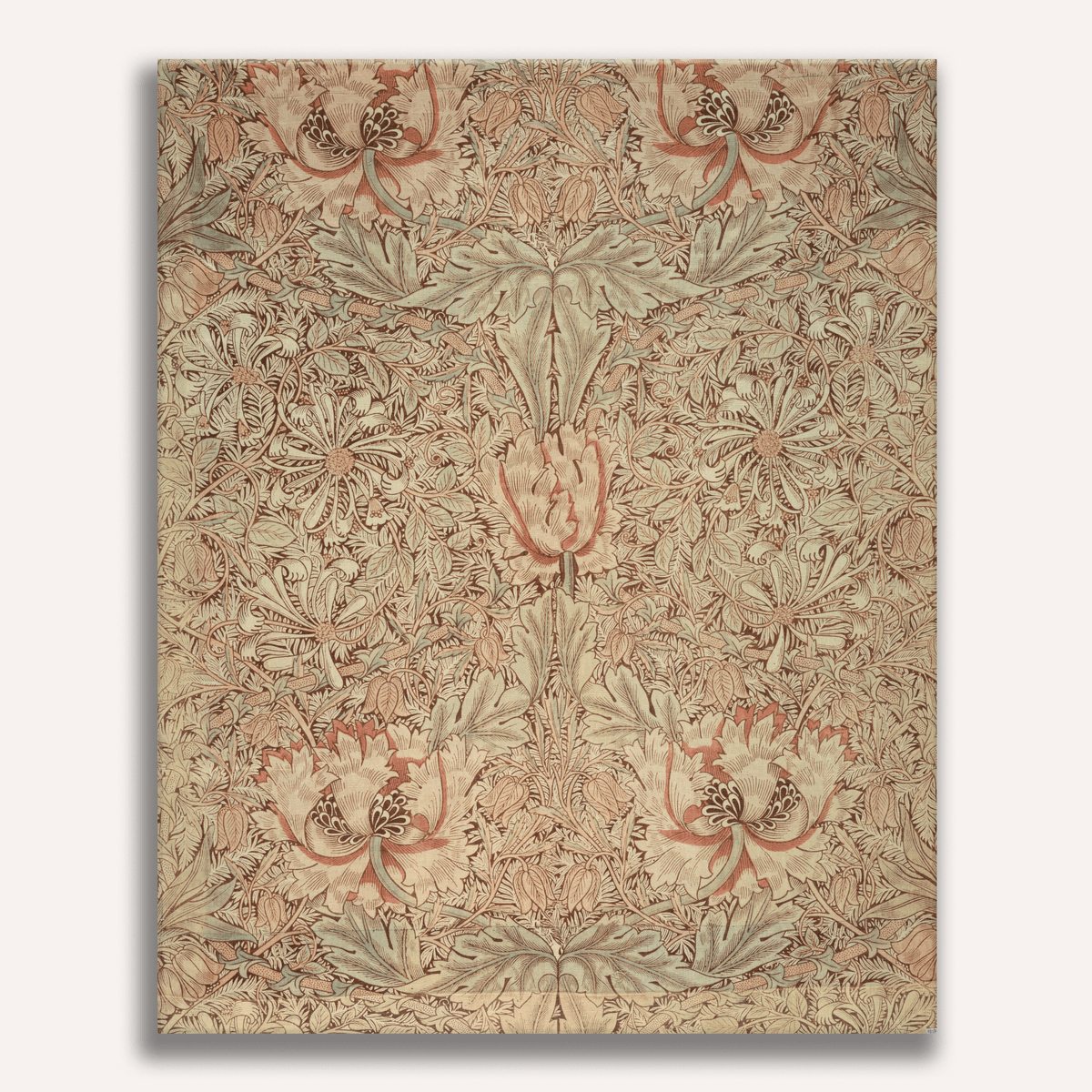 Honeysuckle by William Morris - Number Artist Paint by Numbers Kits