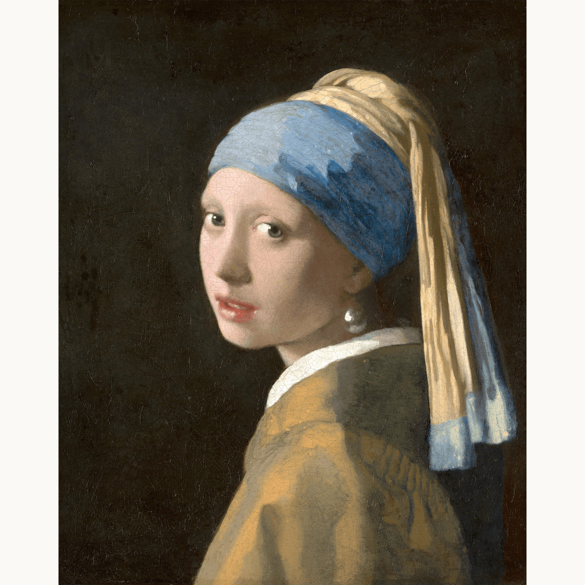 Girl with a Pearl Earring by Johannes Vermeer - Number Artist Paint by Numbers Kits