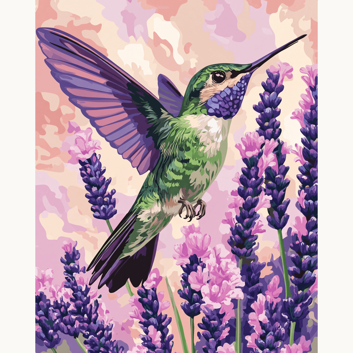 Lavender Hummingbird