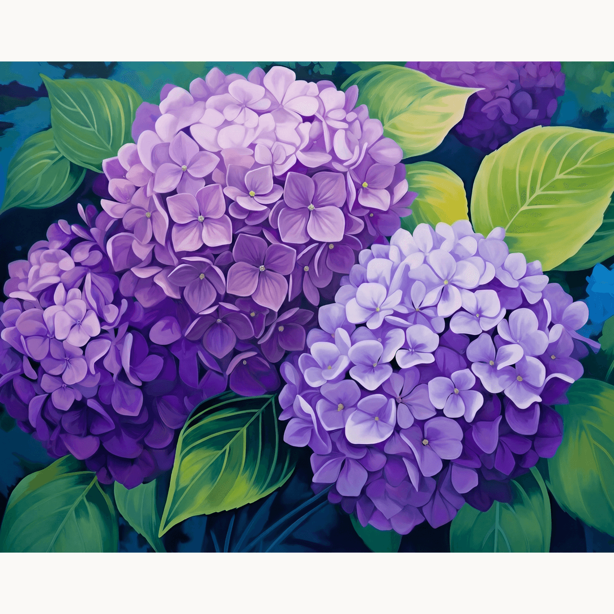 Purple Hydrangea