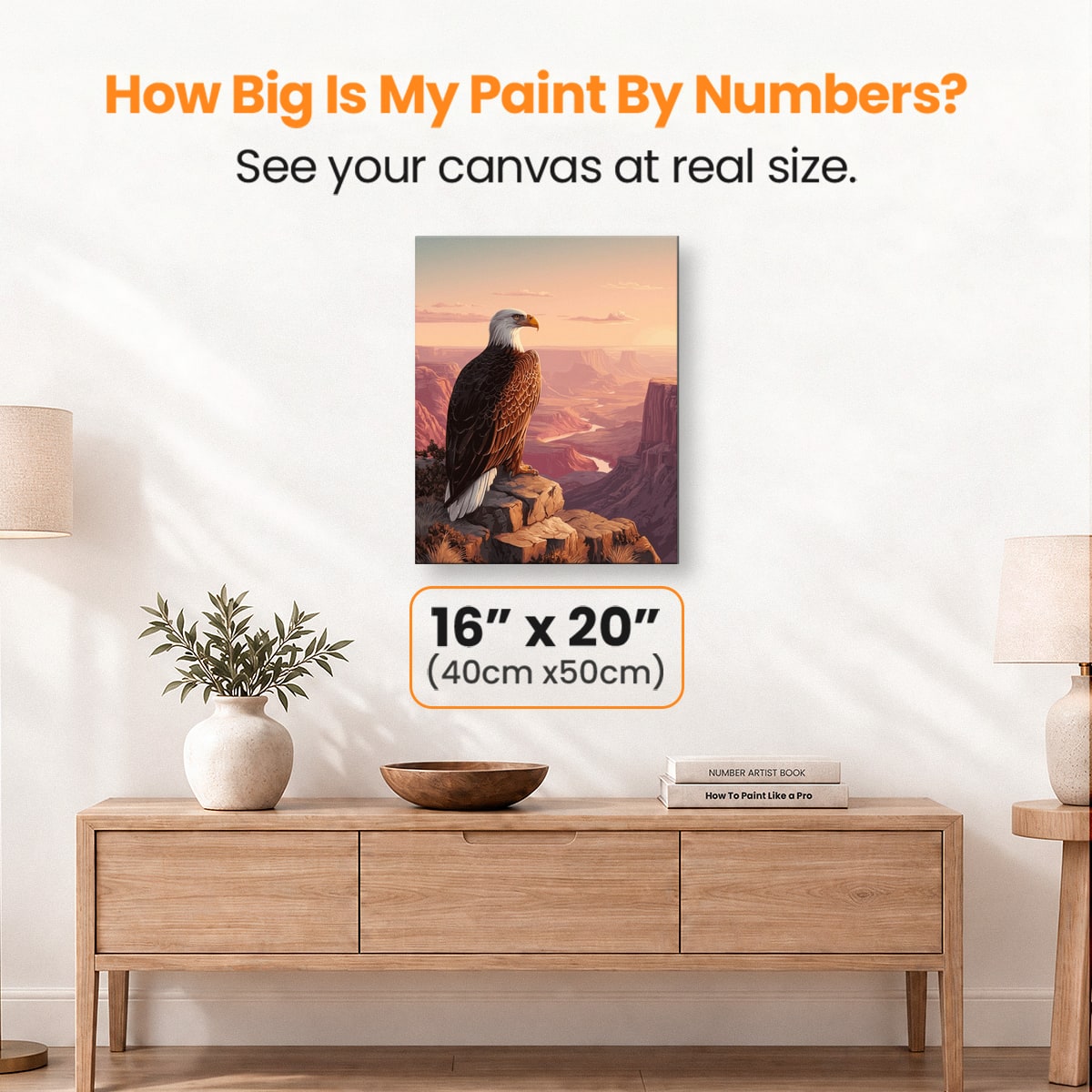 Bald Eagle Canyon - Number Artist Paint by Numbers Kits