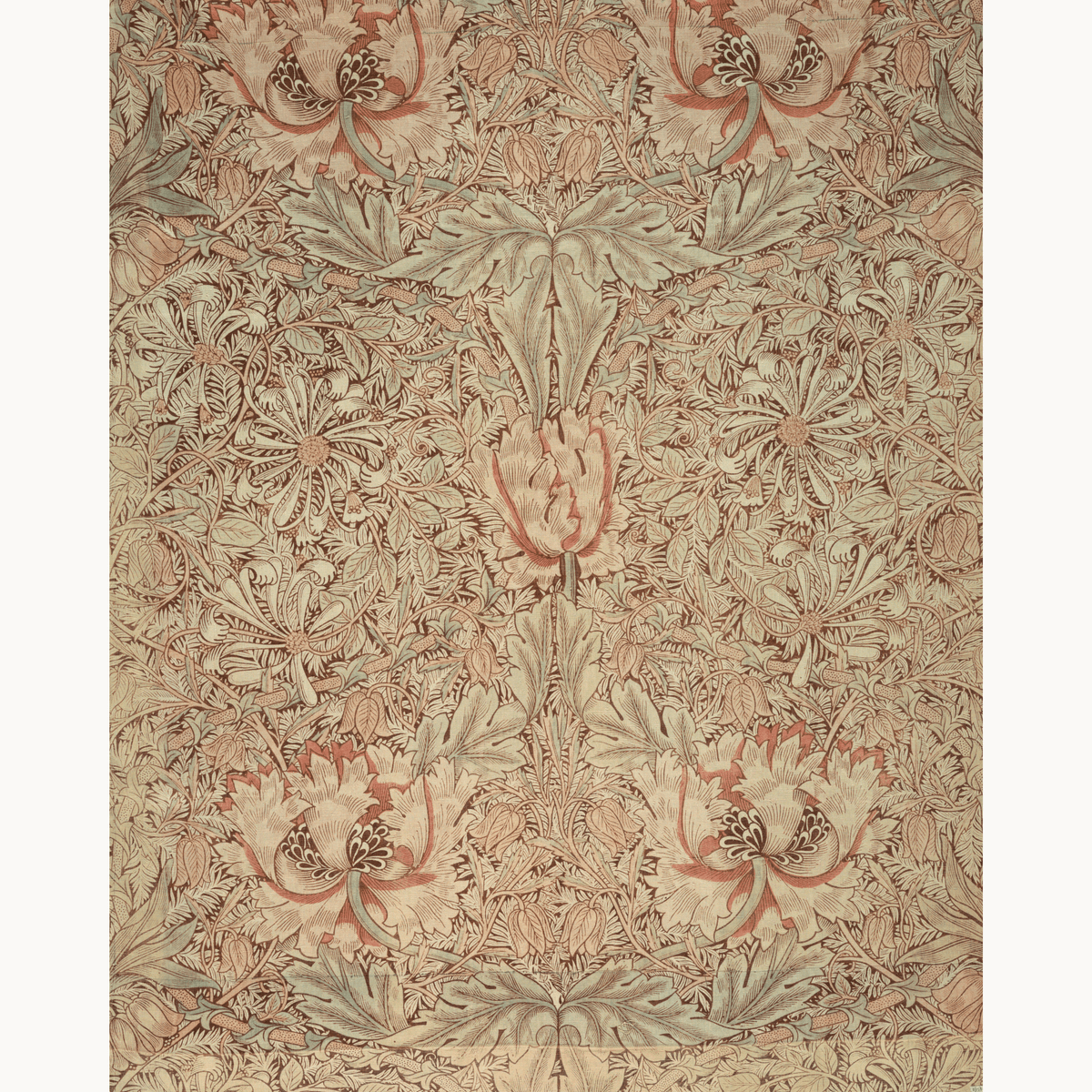 Honeysuckle by William Morris - Number Artist Paint by Numbers Kits