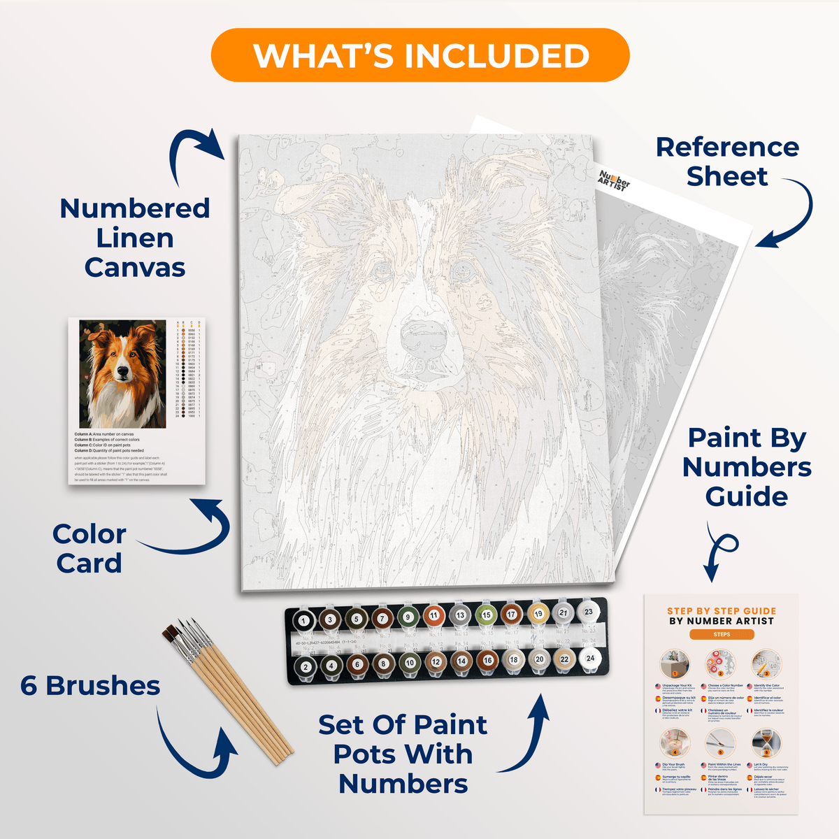 Collie Portrait - Number Artist Paint by Numbers Kits