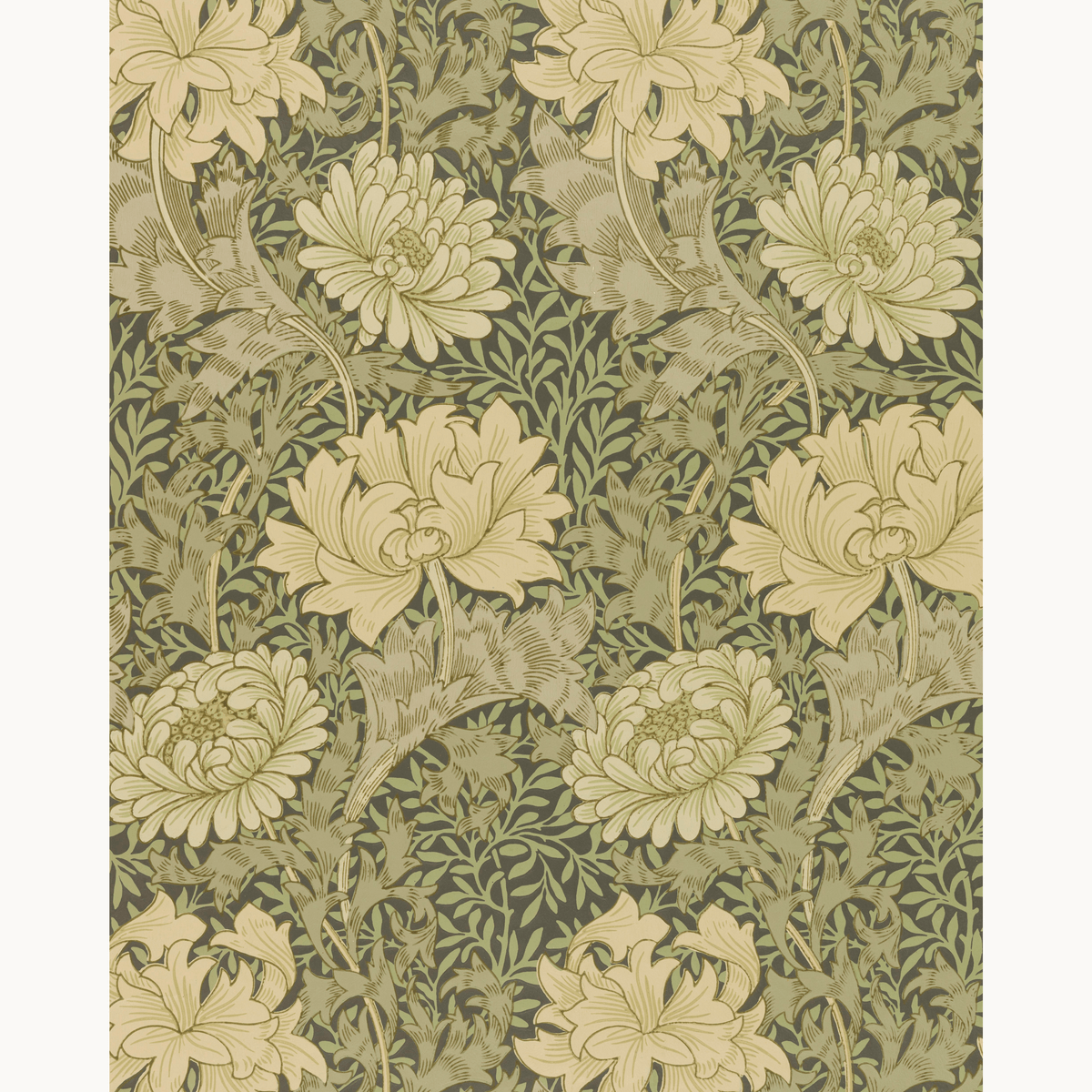 Chrysanthemum by William Morris - Number Artist Paint by Numbers Kits