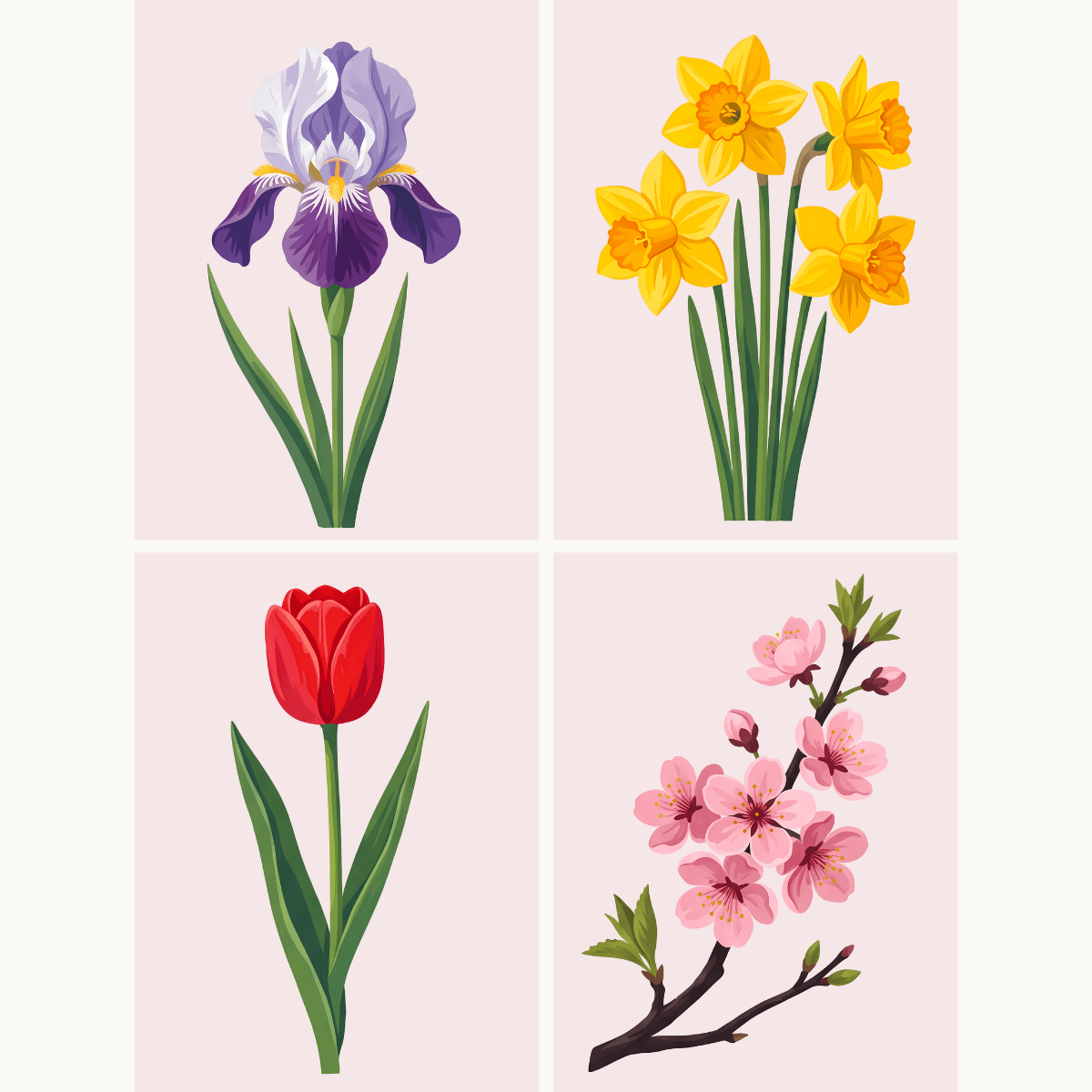 Spring Petals