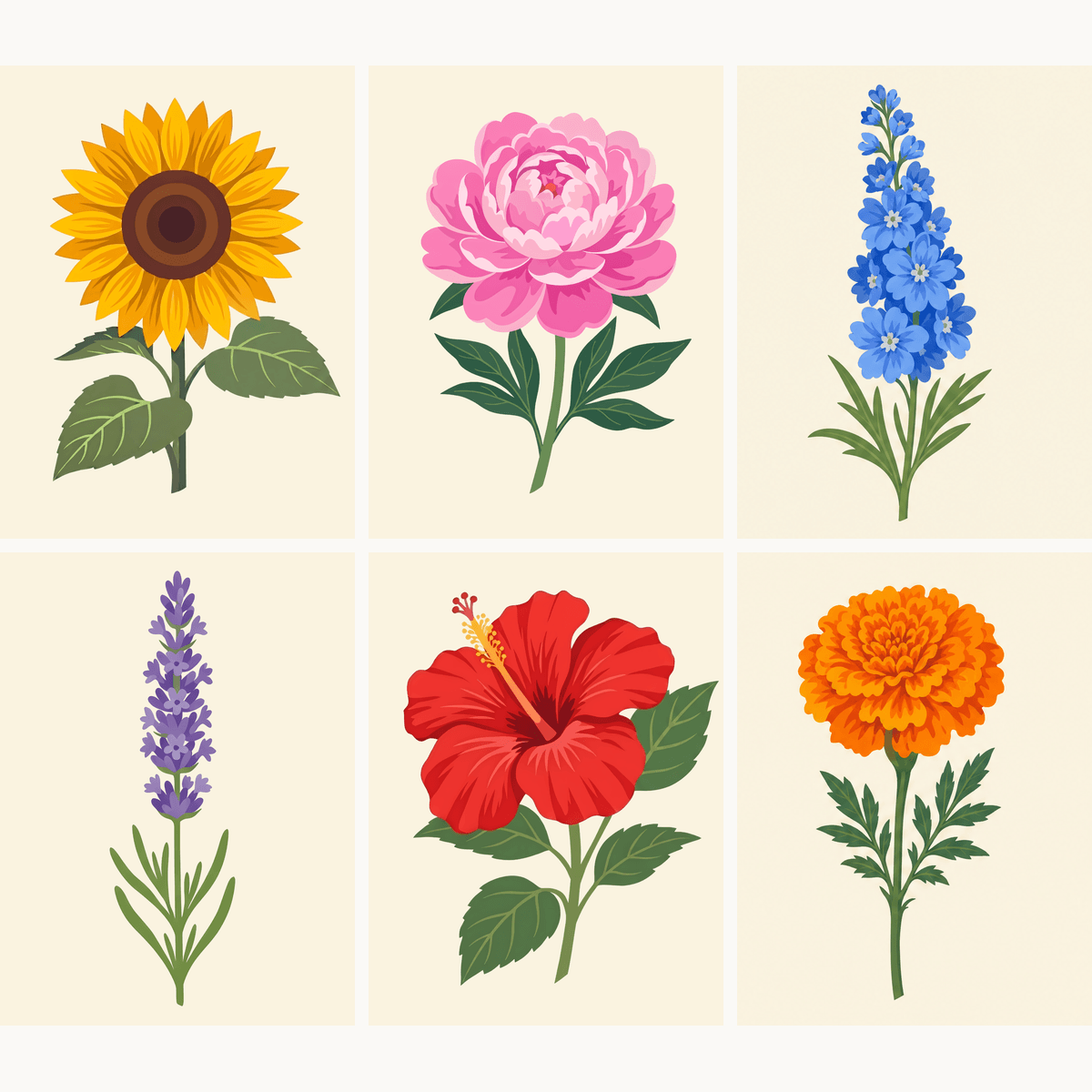 Summer Blooms - Number Artist Paint by Numbers Kits