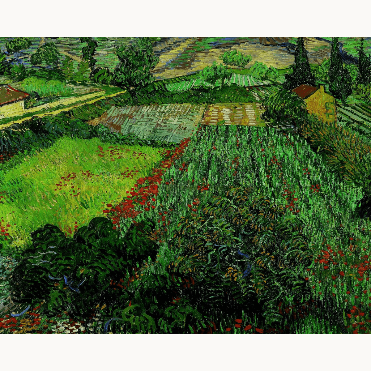 Field with Poppies by Vincent Van Gogh - Number Artist Paint by Numbers Kits