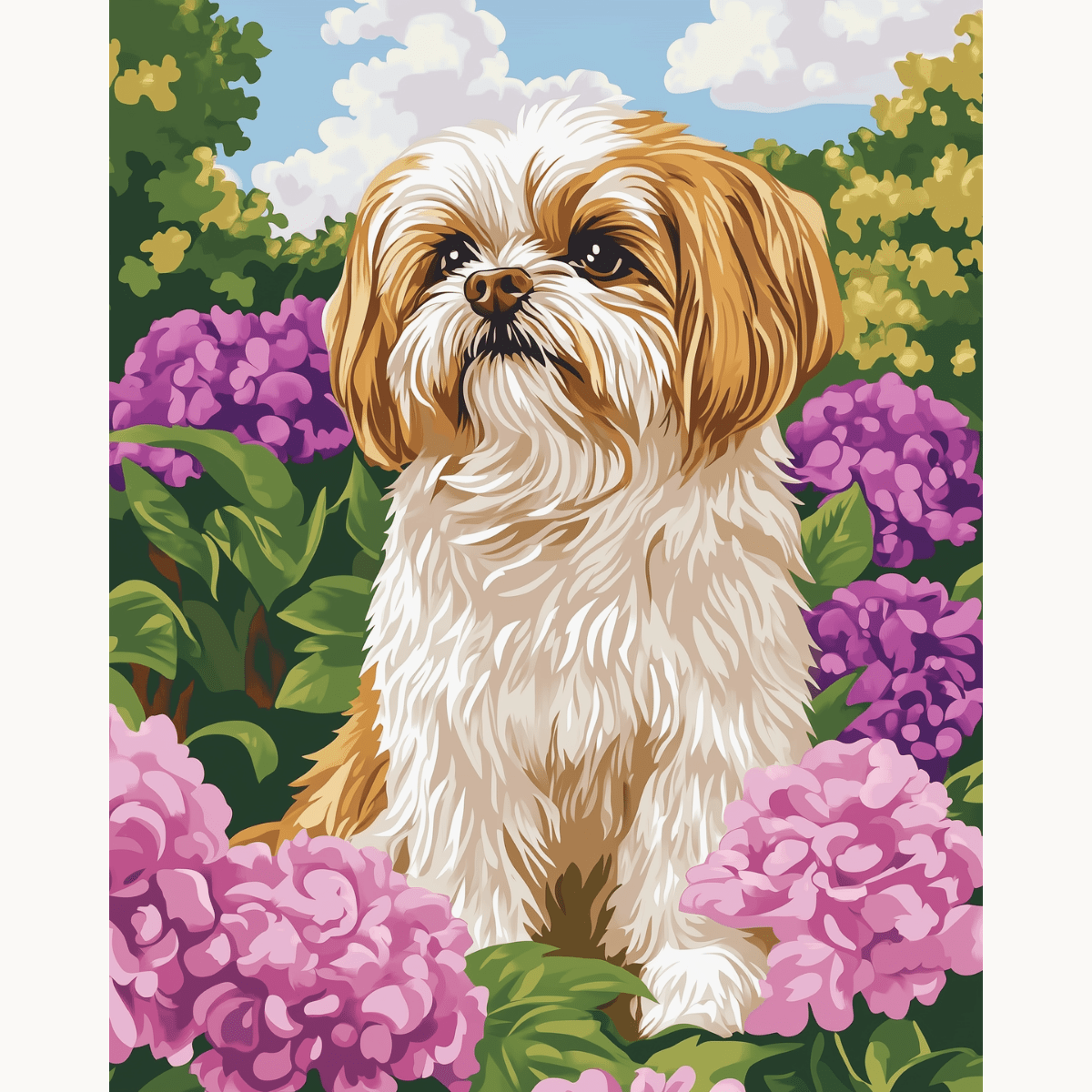 Golden Shih Tzu