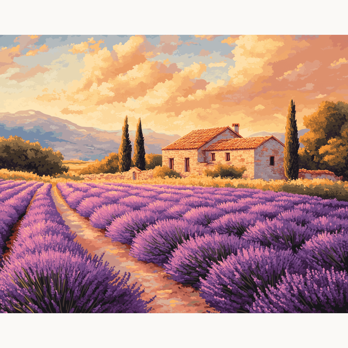 Lavender Rows