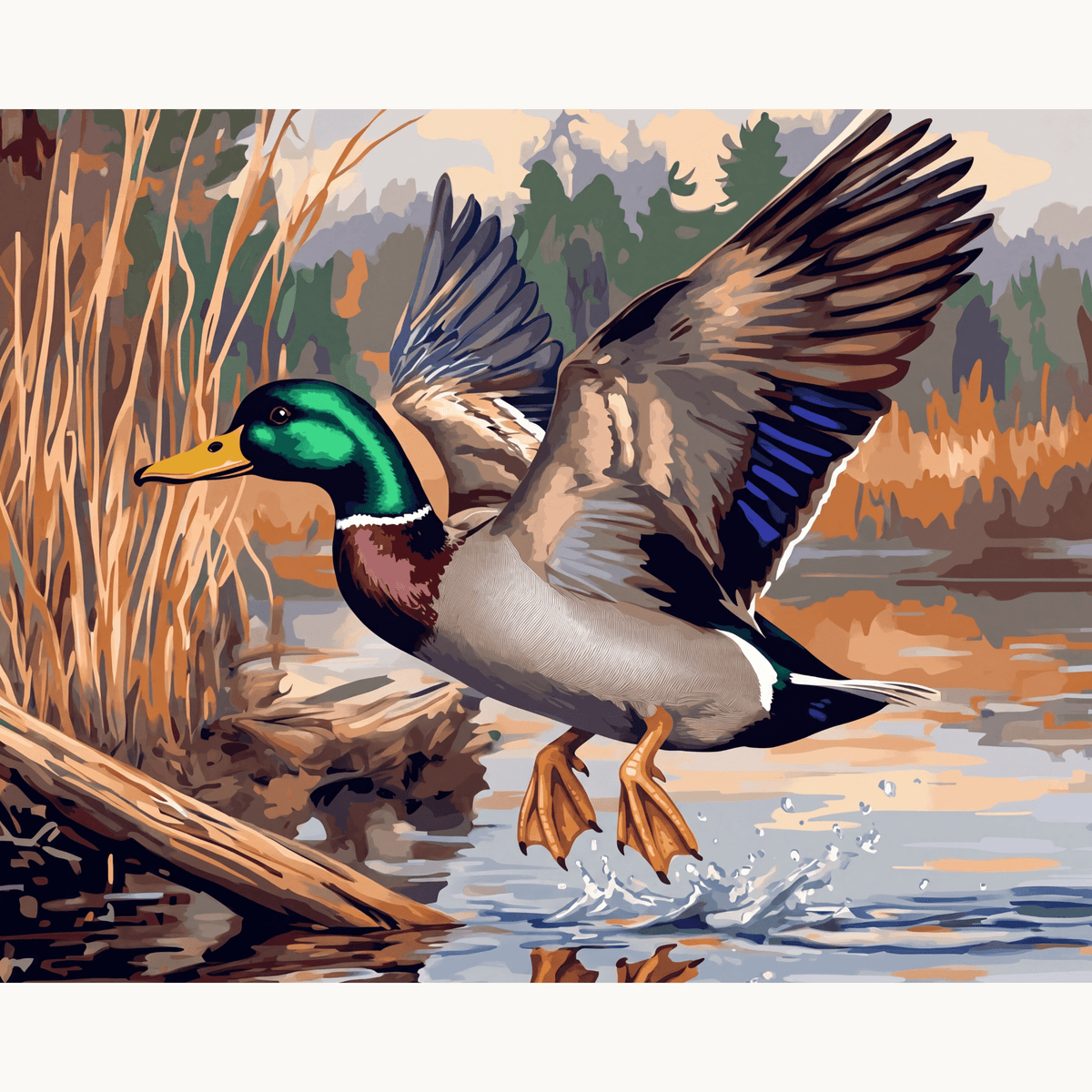 Mallard Duck Landing - Number Artist Paint by Numbers Kits