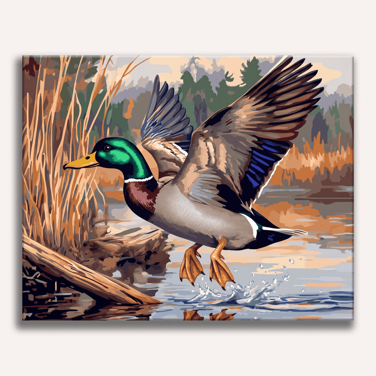 Mallard Duck Landing - Number Artist Paint by Numbers Kits