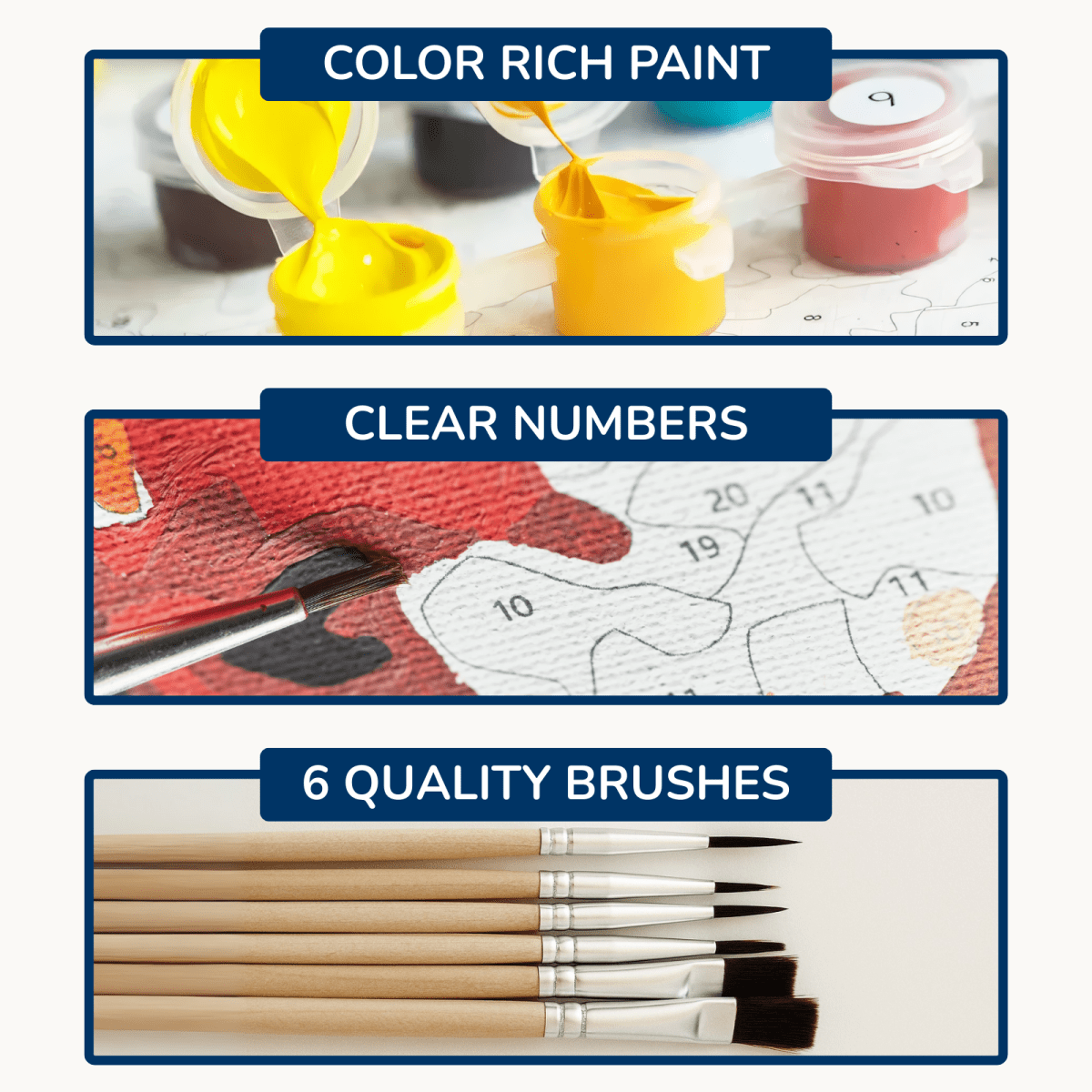 Custom Paint by Numbers Kit