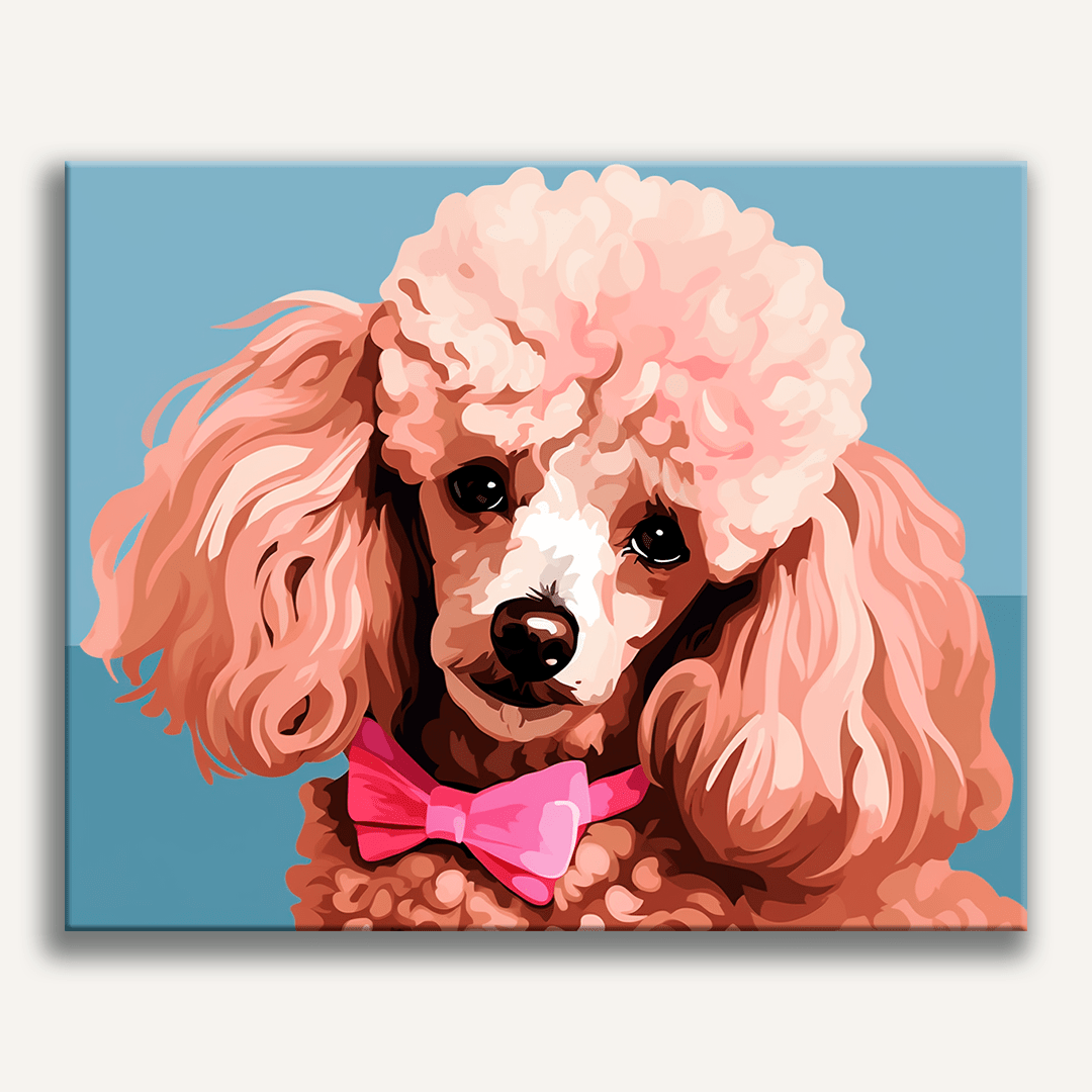Ollie the Poodle