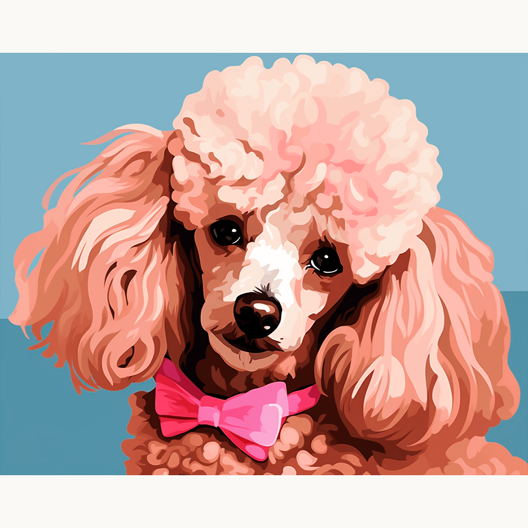 Ollie the Poodle