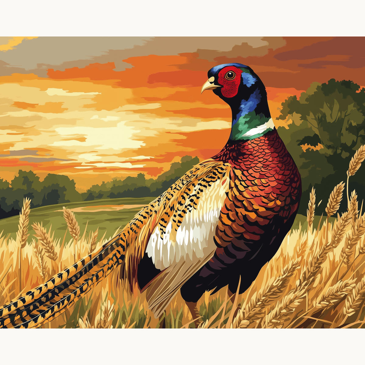 Pheasant Fields - Number Artist Paint by Numbers Kits