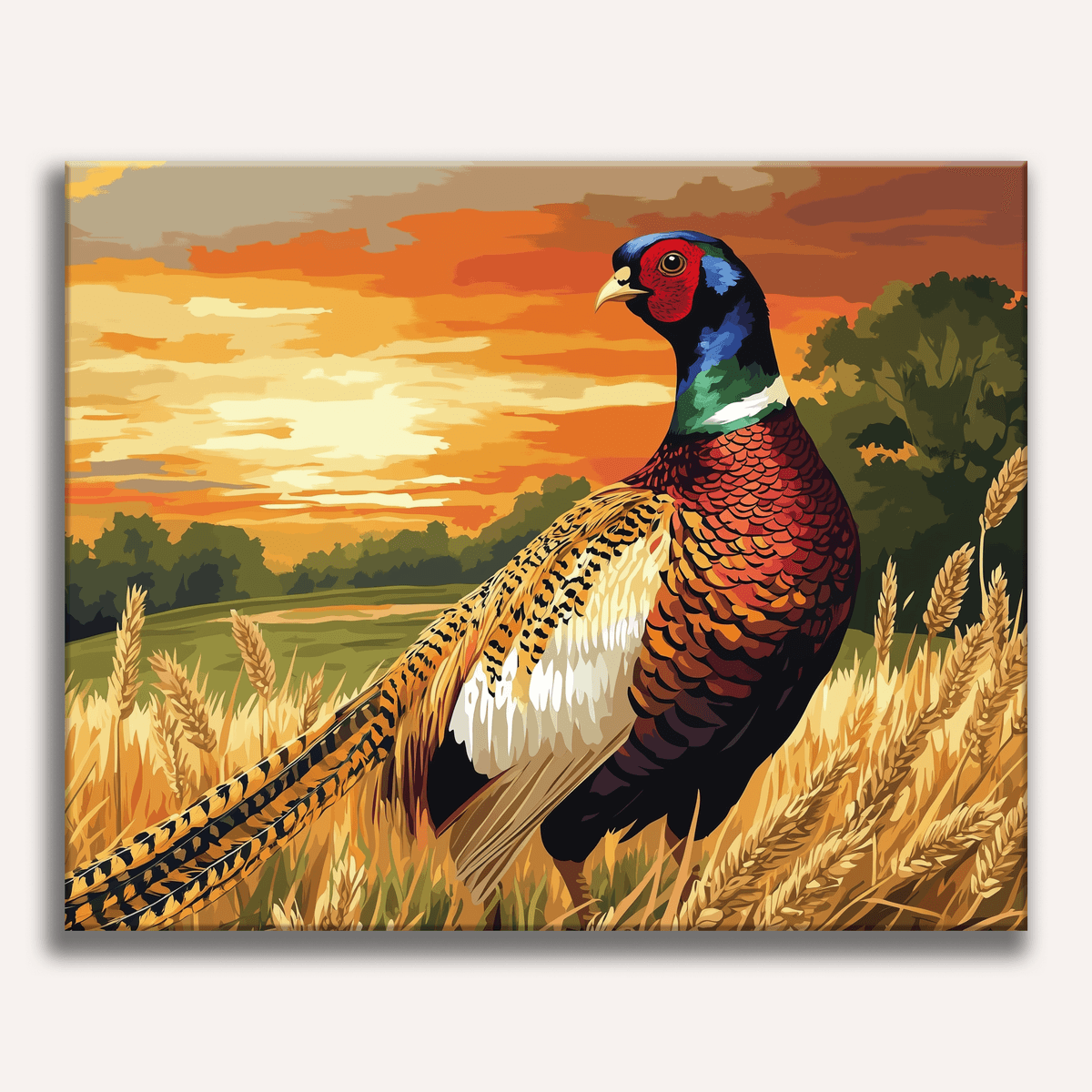 Pheasant Fields - Number Artist Paint by Numbers Kits