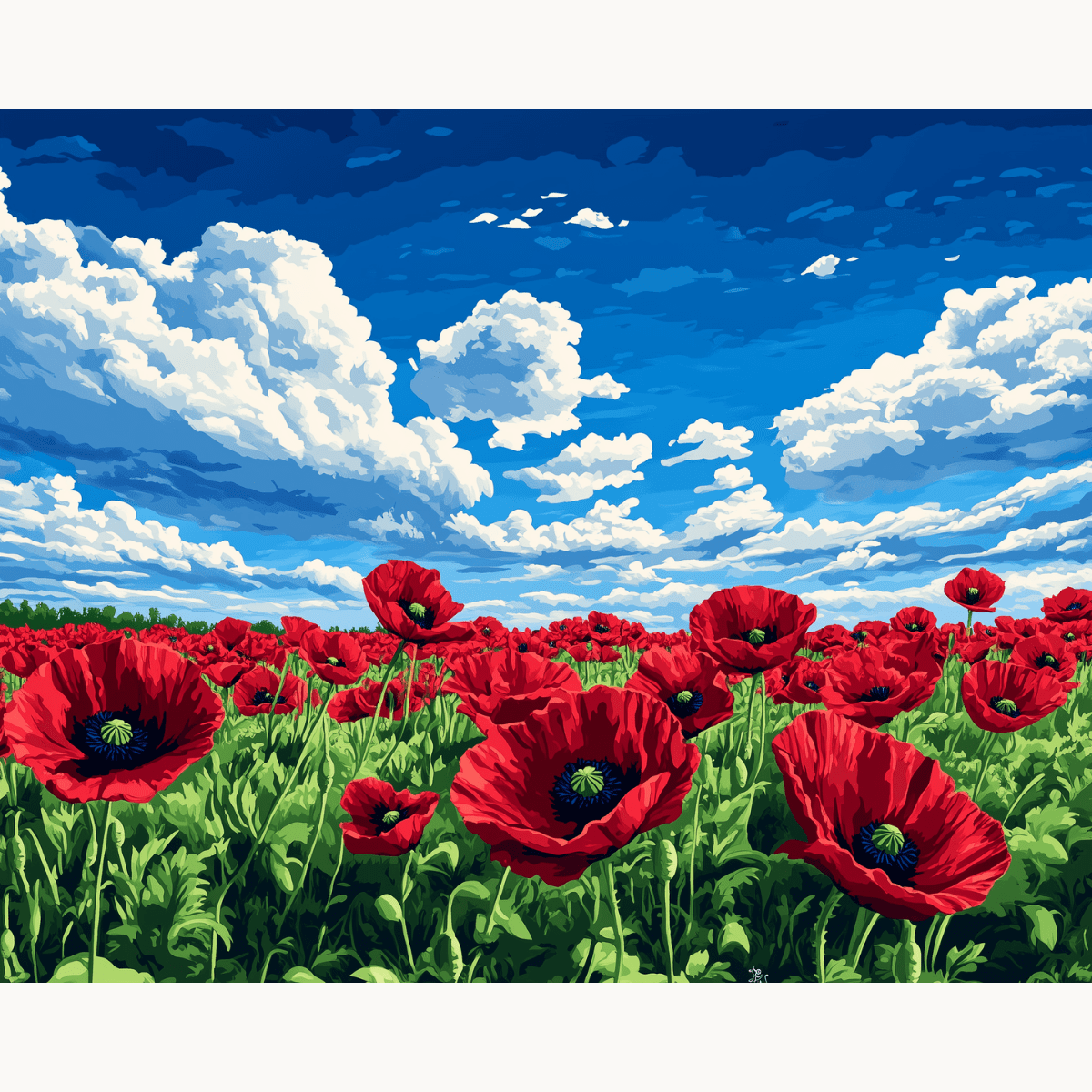 Field of Poppies - Number Artist Paint by Numbers Kits