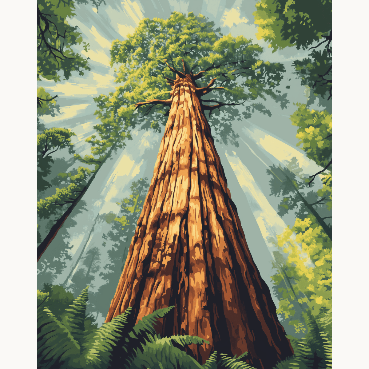 Redwood Tree