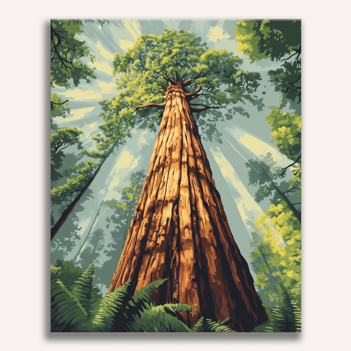 Redwood Tree