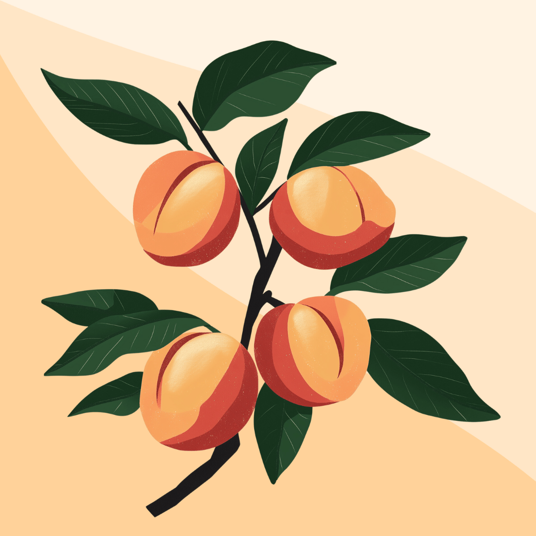 Sweet Peaches - Number Artist Diamond Painting Kits